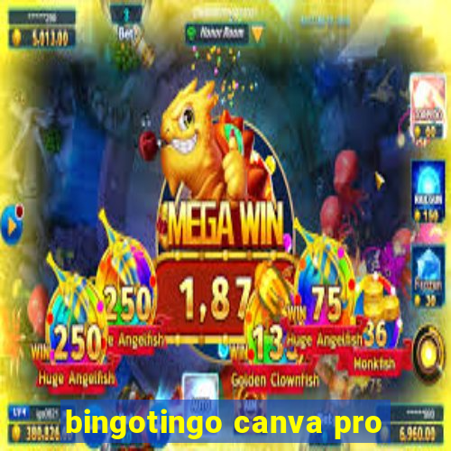 bingotingo canva pro